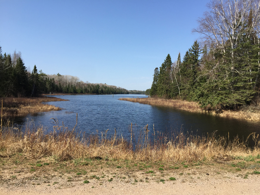 Pickett Lake BWCA